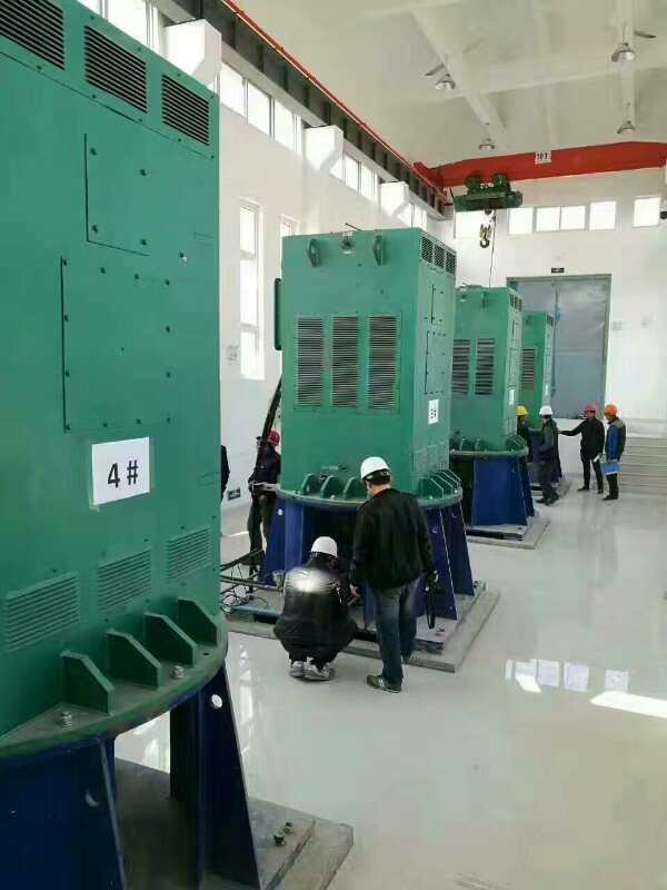 Y500-2某污水处理厂使用我厂的立式高压电机安装现场