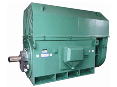 Y500-2Y系列6KV高压电机